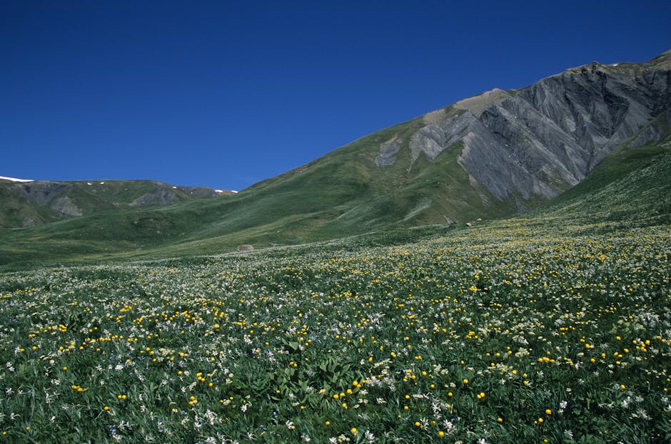 Prionia Plateau Mount Olympus Greece alpine meadows wildflowers