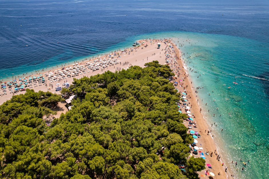 Prvic Island Croatia pine forest beach clear water