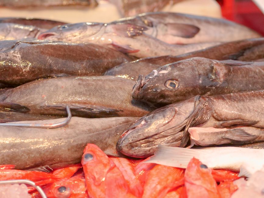 Biograd na Moru Market Croatia fresh seafood local produce