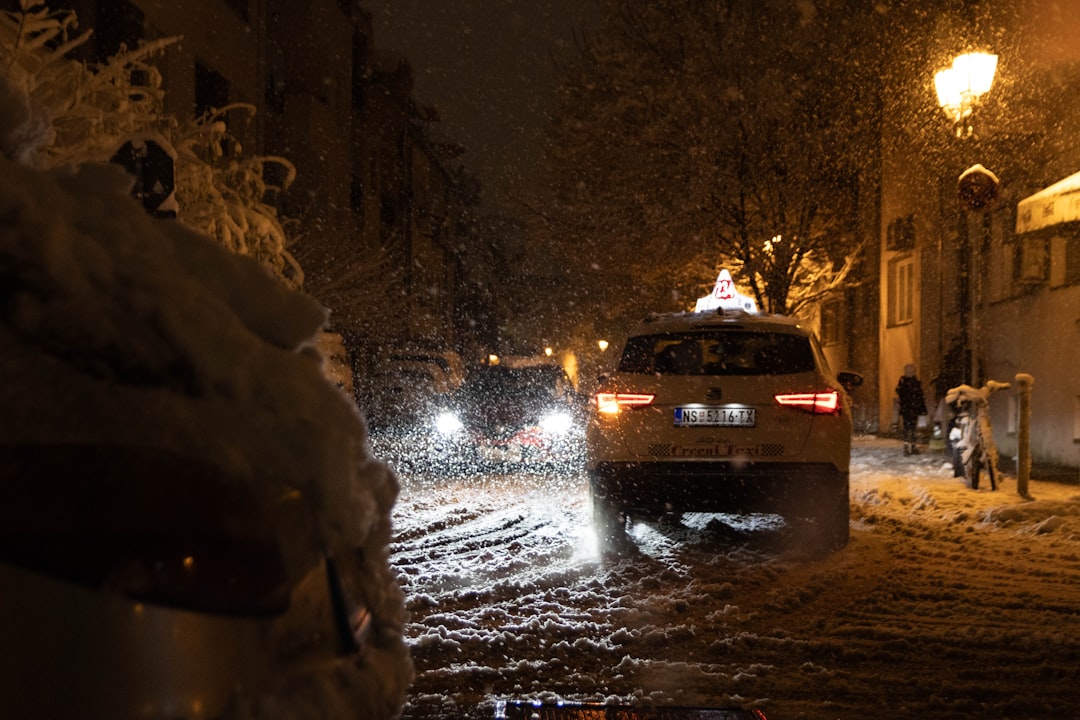 Emergency workers clearing debris after storm Novi Sad