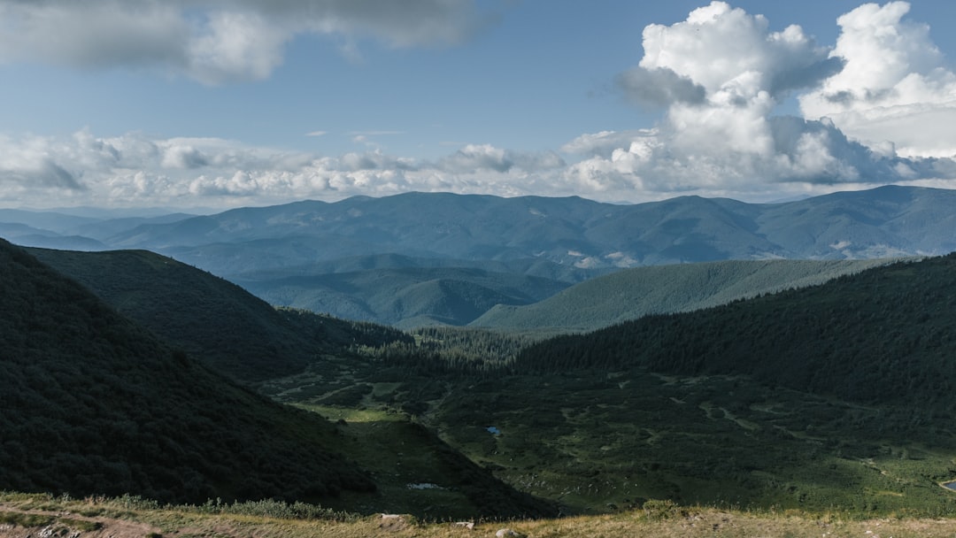 Reforestation efforts in Carpathian Mountains
