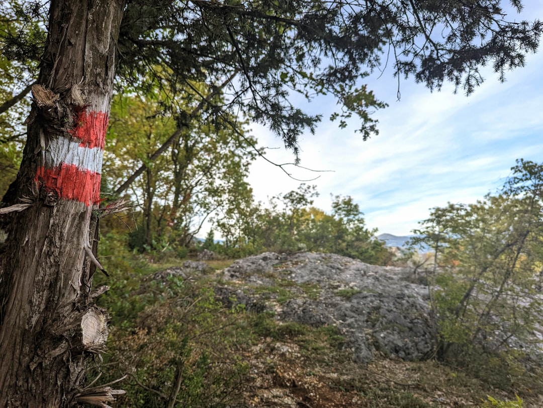 Chasing the Dinaric Alps: A Gonzo Trek Through Montenegro's Wild Heart