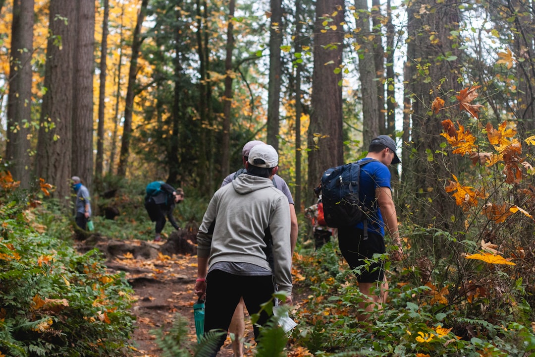 search and rescue team hiking through forest