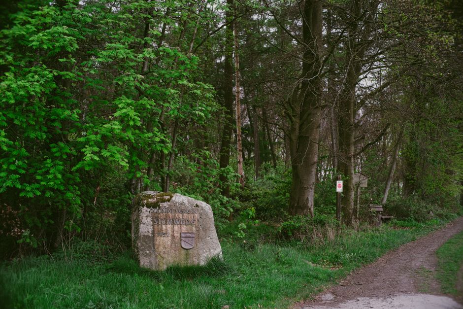 Via Dinarica trail marker stone Dinaric Alps forest
