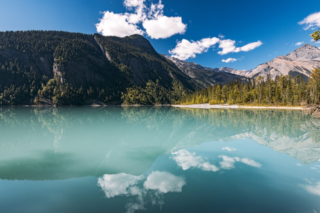 Black Lake Durmitor Montenegro glacial lake forest reflection