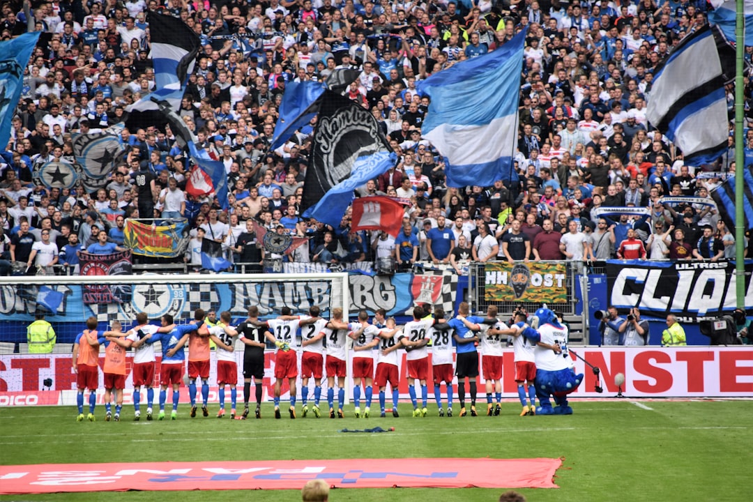 Croatian national football team fans waving flags stadium