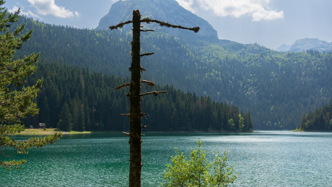 Durmitor National Park: The Black Mountains' Brutal Beauty