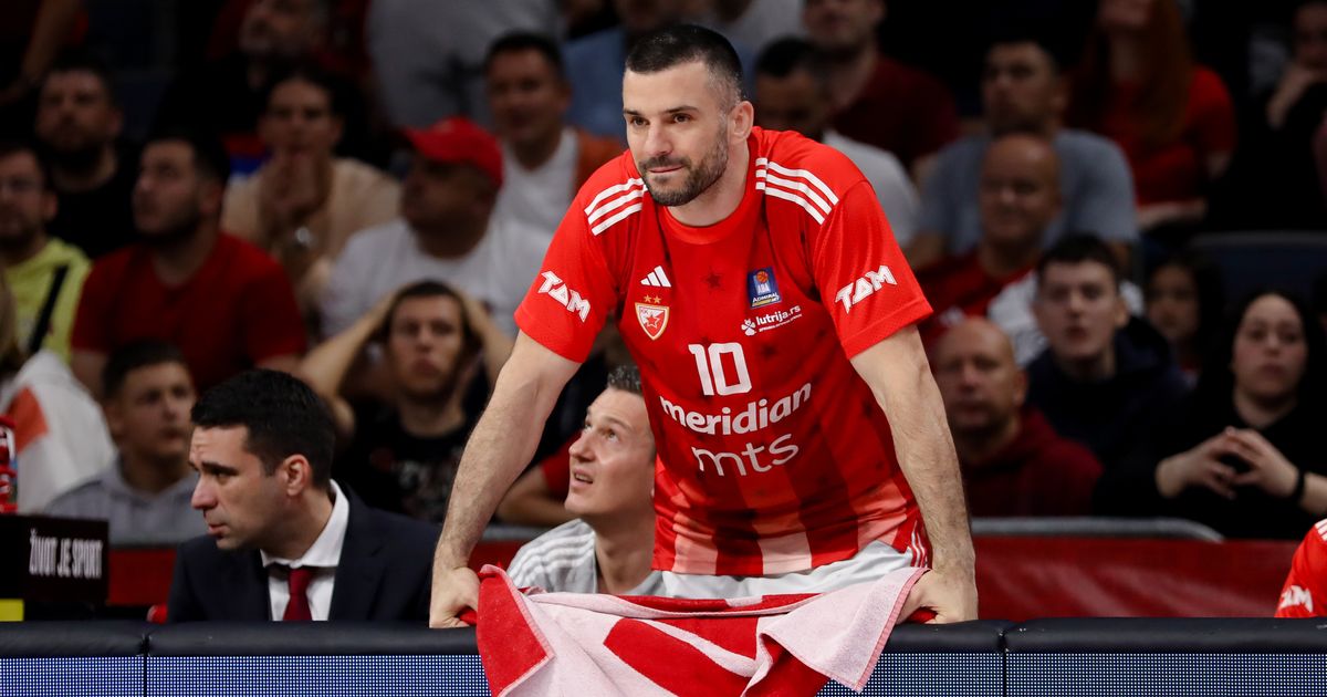 Lazić Exposed: The Caffeine-Fueled Contract Kill That Shattered His Zvezda Dream