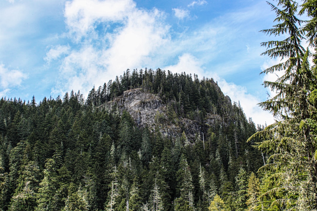 St. Anthony Refuge Velebit mountain hut trailhead forest