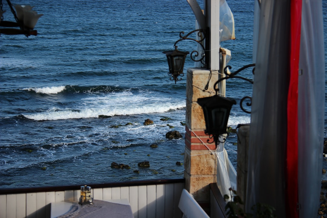 Romanian Black Sea coast grilled fish restaurant table