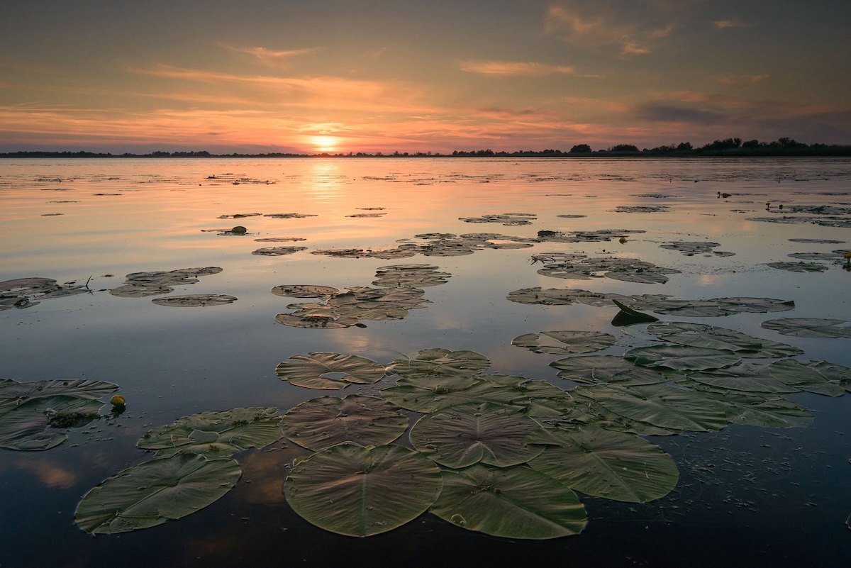 Romanian Documentary "Wild Delta" to Premiere at LYNX Festival in Brașov