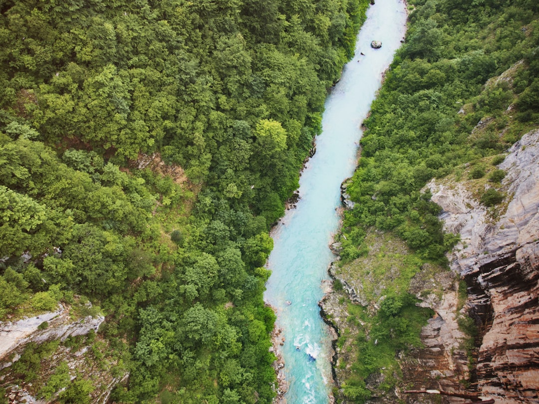 White water rafting Tara River Montenegro action shot splashing waves