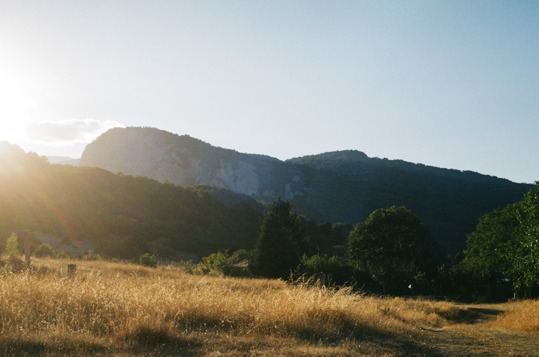 Platanos trailhead Mount Olympus Greece pine forest path morning