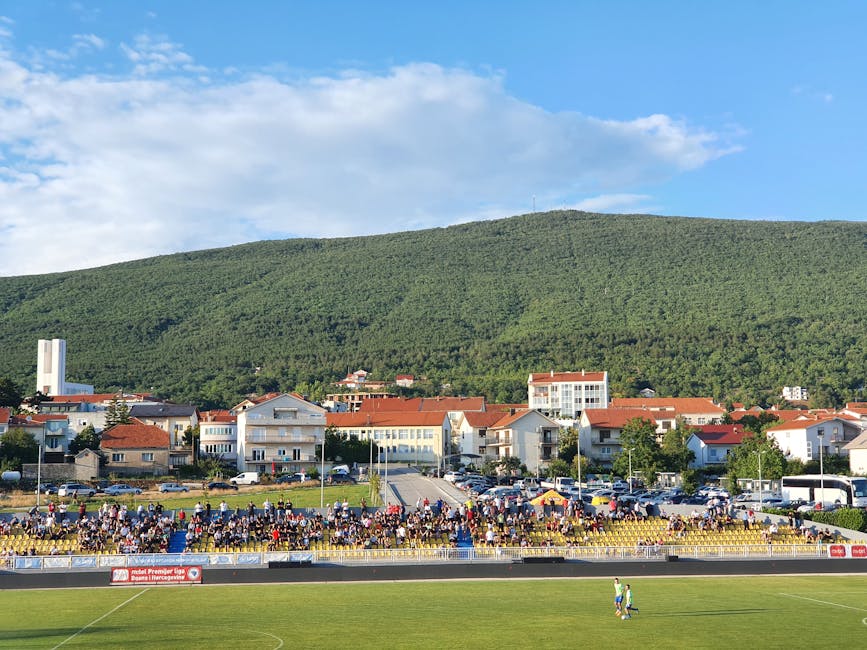 Bosnia Herzegovina fans stadium cheering match