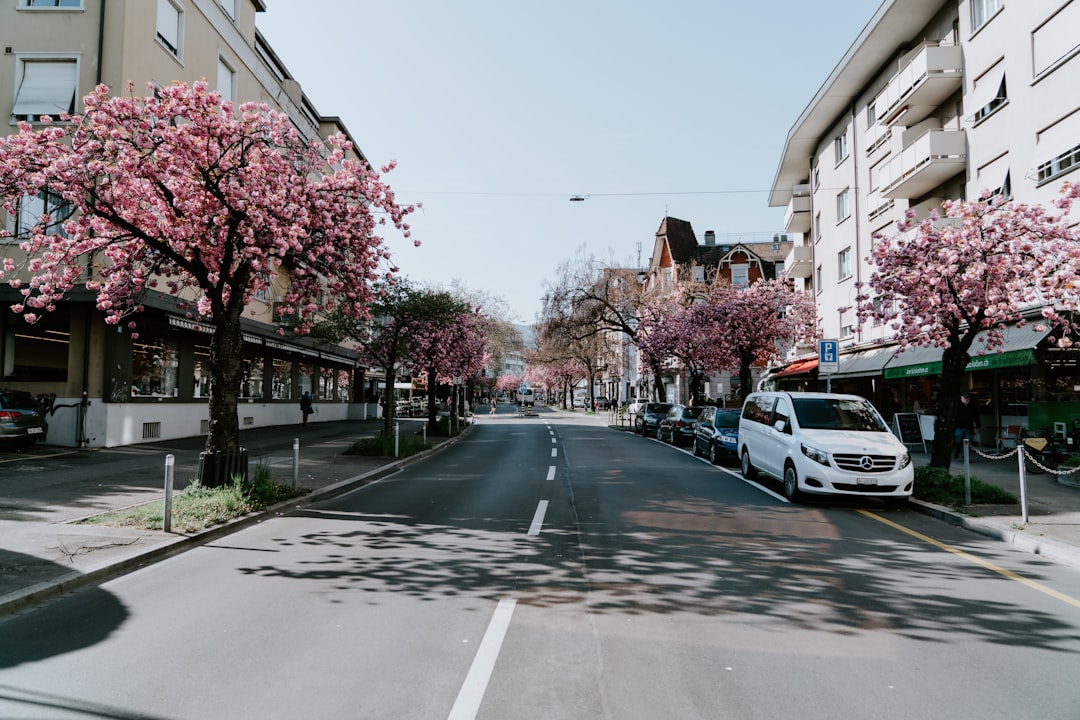 Balkan diaspora community celebration Zurich street