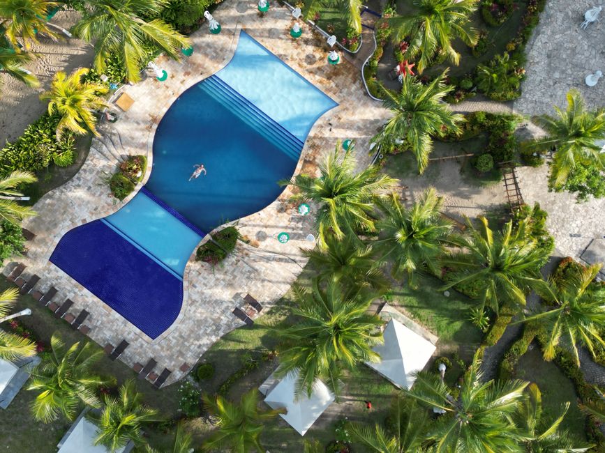 Aruba luxury resort pool area tropical plants