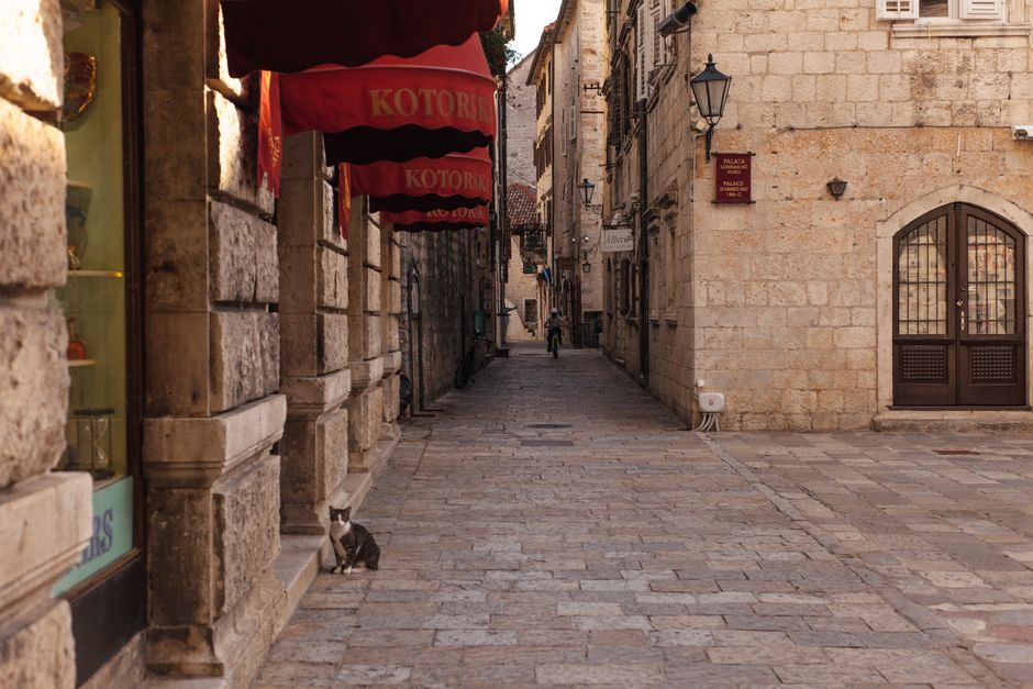 Stradun street Kotor Old Town Montenegro outdoor cafes evening