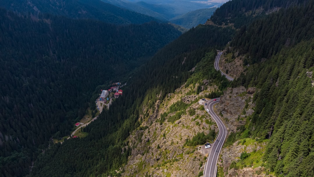 Carpathian Mountains Romania forest road winding through hills autumn colors