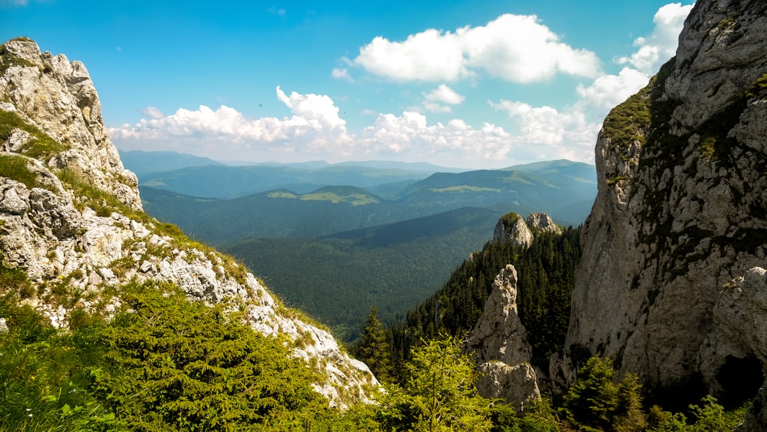 Transylvania Carpathian Mountains spring landscape