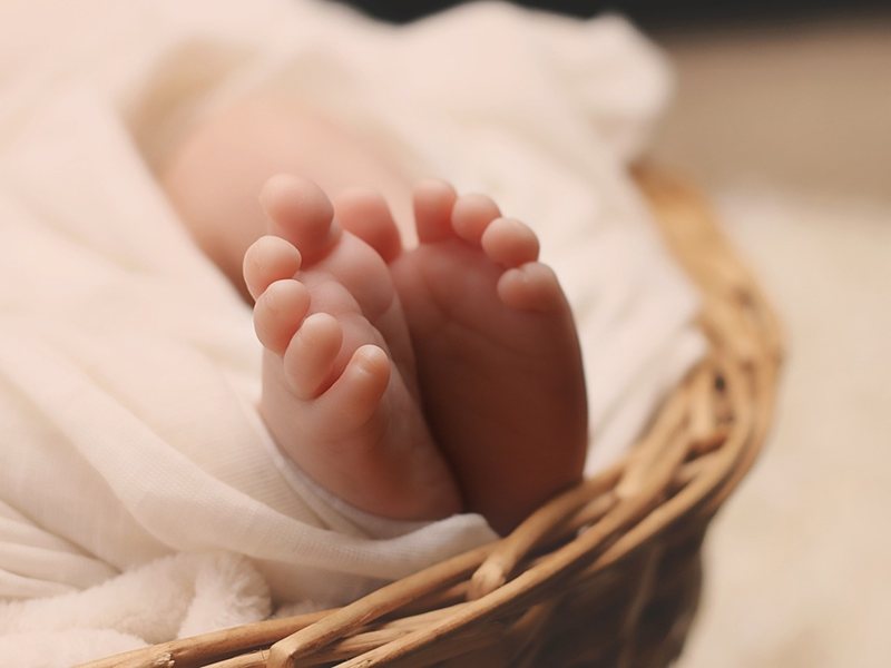 Αυστριακά Ανατριχιαστικά Διατήρησε Συντρόφο σε Προσπάθεια Υποστήριξης σε Γερμανική Εταιρεία Παπουσιών