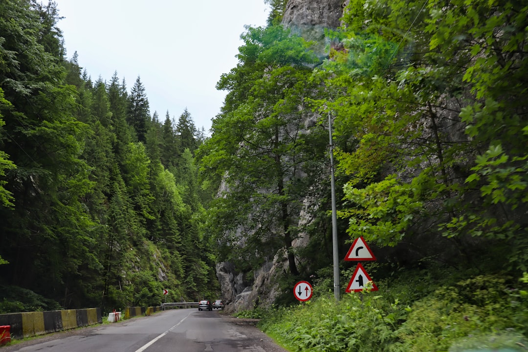 Transfăgărășan Highway Romania steep cliffside rockfall warning sign