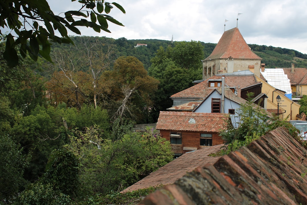 Sighisoara's Fortress: Climbing the Clock Tower and Chasing Dracula's Shadow