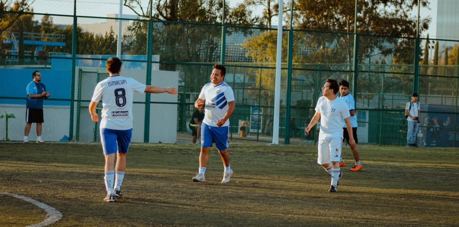 Bosnia and Herzegovina national football team players celebrating goal