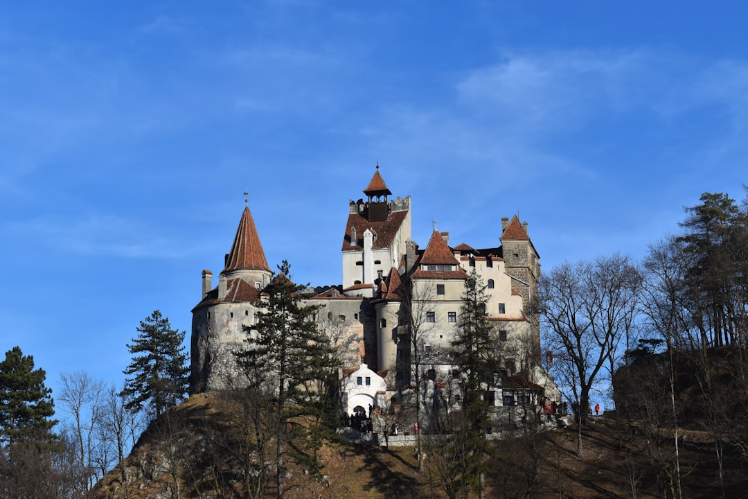 Bran Castle Romania Transylvania Gothic castle in the woods
