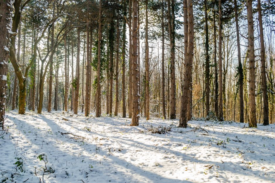 Pedaling and Hiking Fruška Gora: The Island in the Air Above Serbia