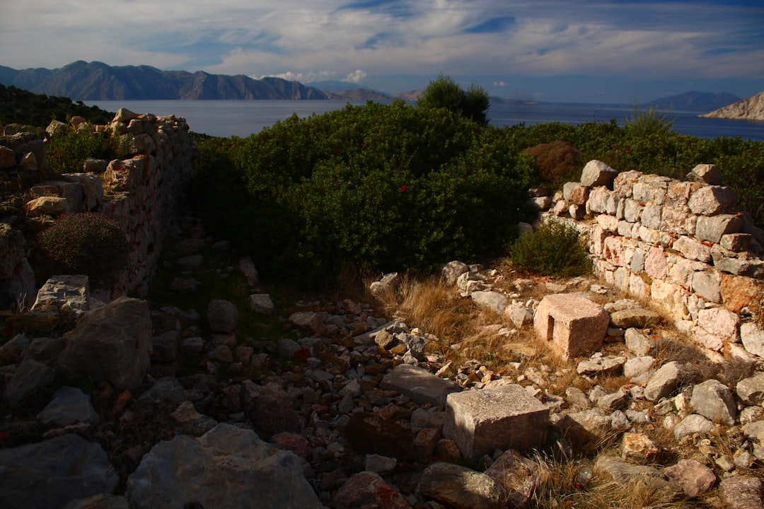 Troy Turkey reconstructed wooden walls archaeological site morning light
