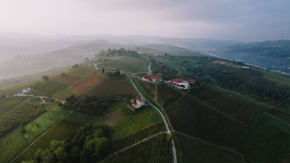 Drunk on History: Chasing the Kings of Sweet Wine Through Tokaj and Dealu Mare