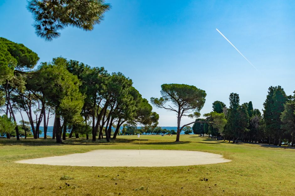 Losinj Island Croatia pine forest trail sunlight through trees Adriatic view