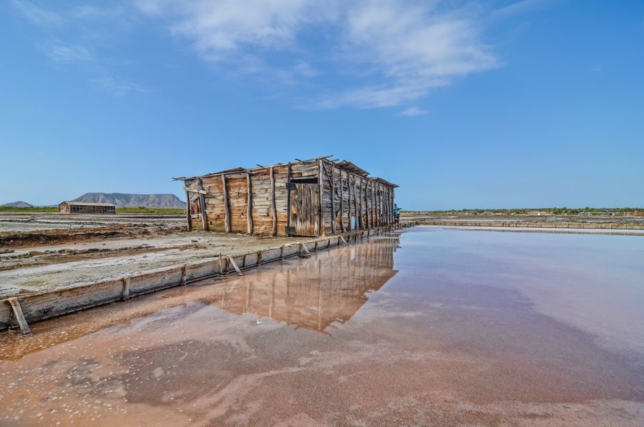 Sečovlje salt pans thermal mud treatment rustic