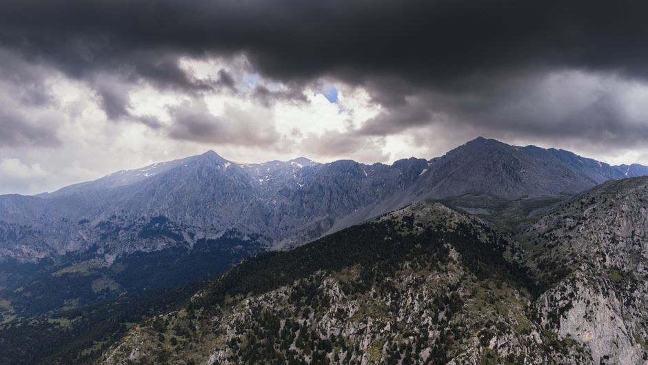 Choria Plateau Mount Olympus Greece wildflowers spring
