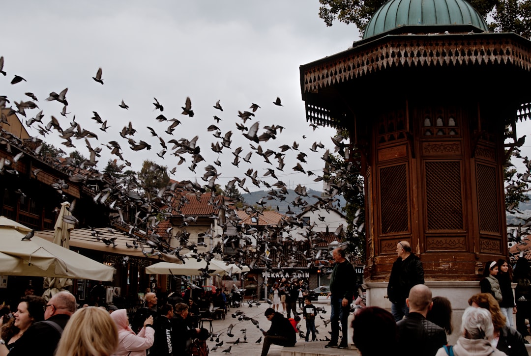 Ali Pasha Caravanserai Sarajevo historic building cafe