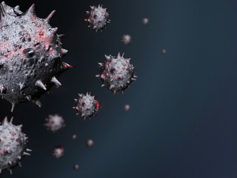 No Bulgarians on Cruise Ship Affected by Hantavirus