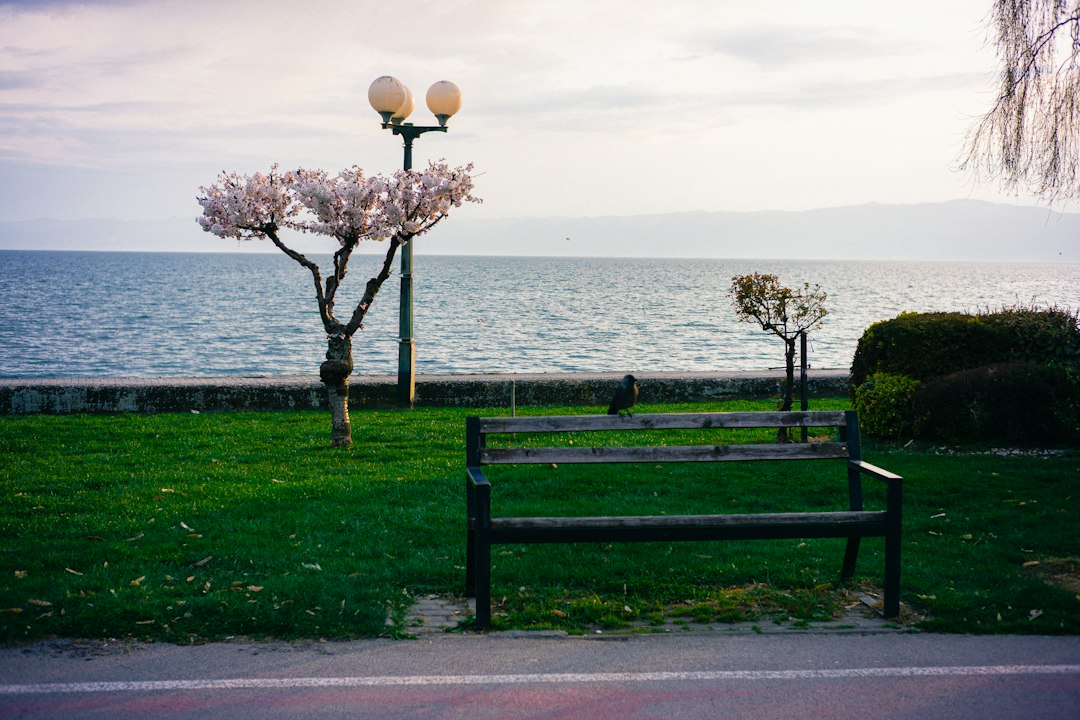 Bar 1961 Ohrid lakefront evening atmosphere