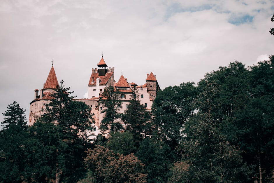 Bran Castle Romania misty forest medieval fortress towers