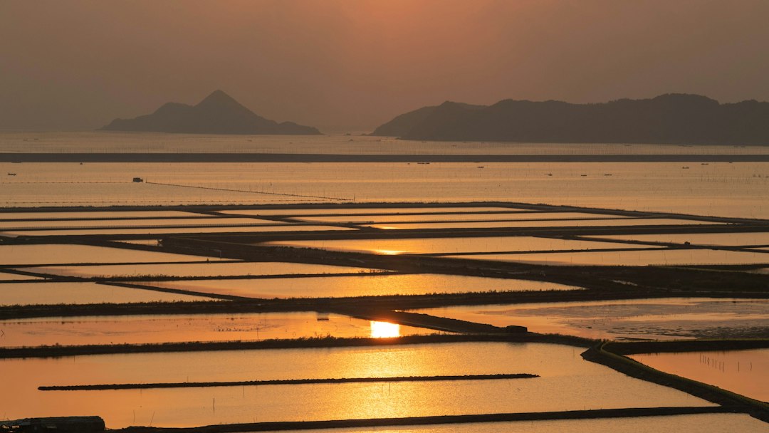 Piran salt pans evaporation pools geometric wooden walkways sunset