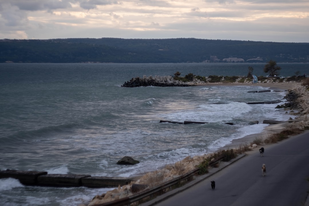 Varna Sea Garden promenade evening lights nightlife