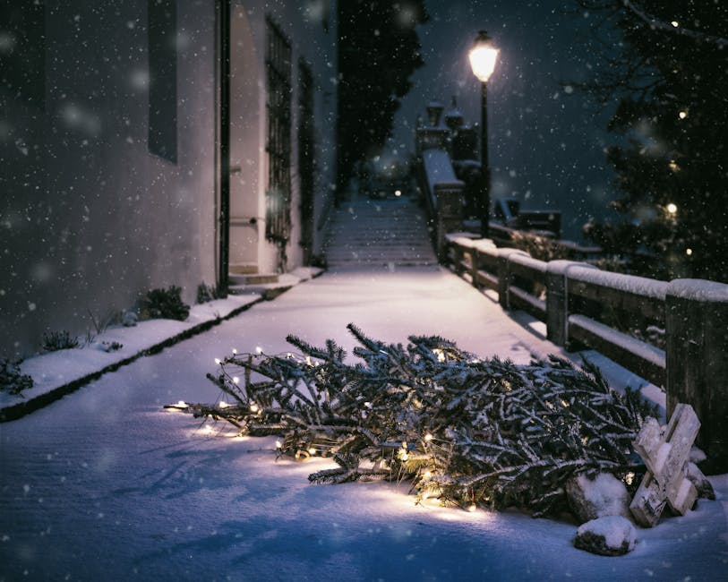Pamporovo main street Bulgaria evening lights snow covered sidewalk