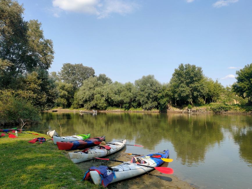Paddling the Wild Neretva: A Gonzo Guide to Herzegovina's Emerald Arteries