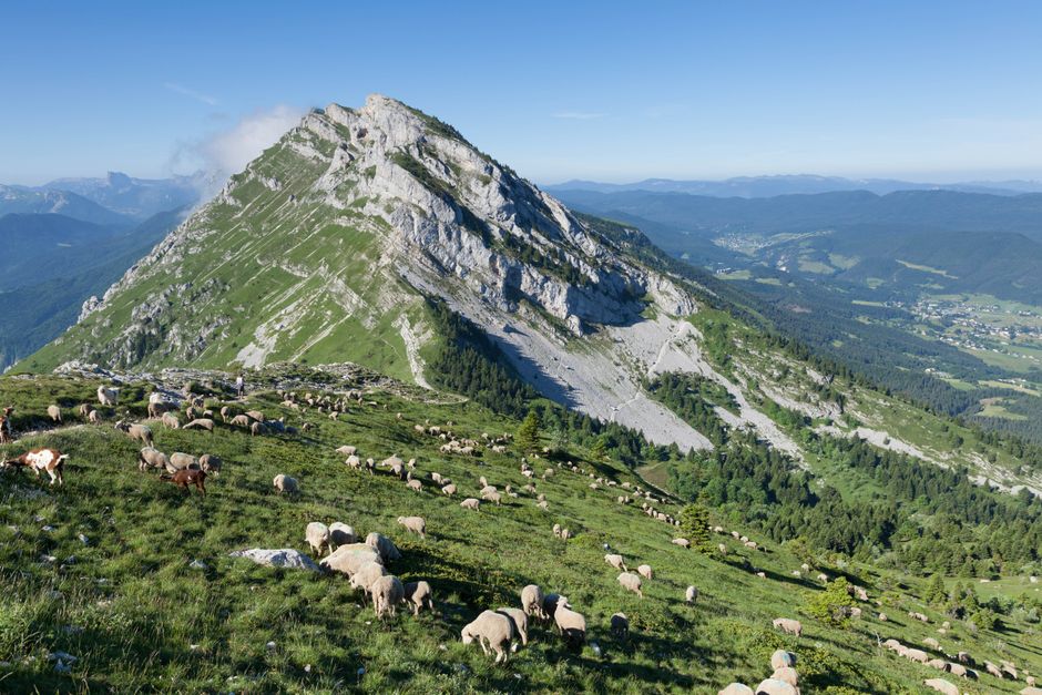 Accursed Mountains Albania shepherd with sheep rocky ridge