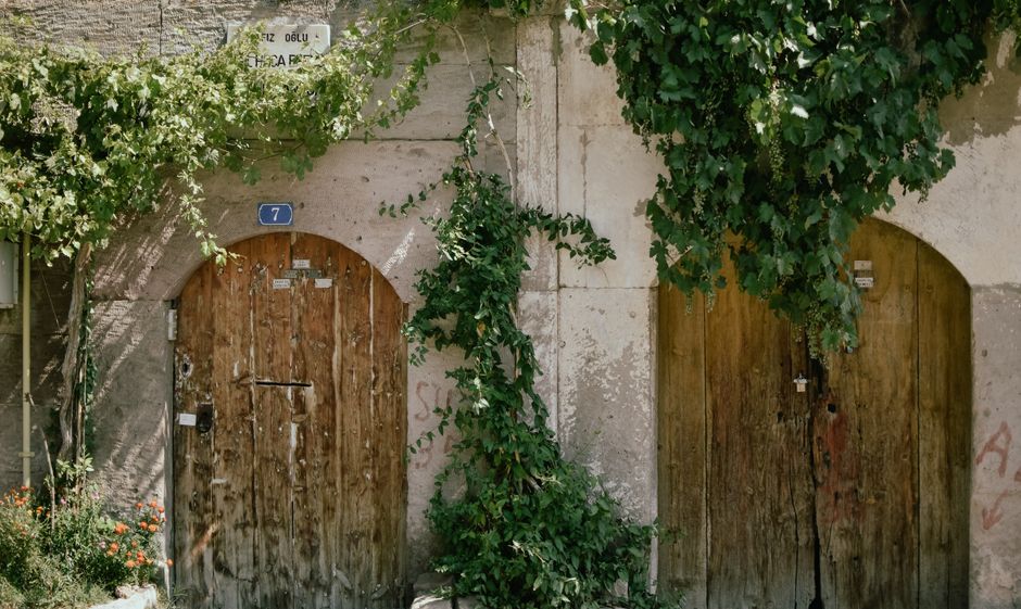 Stari Banovci Serbia wine cellar entrance wooden gate vines