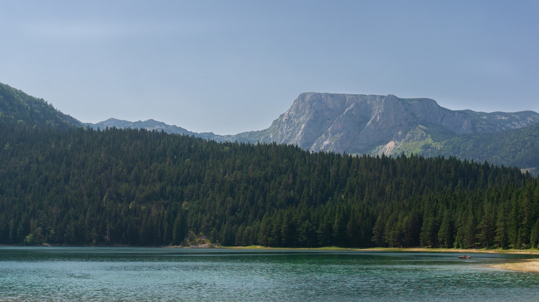 White Water and Black Rock: Chasing the Tara River Canyon in Durmitor, Montenegro
