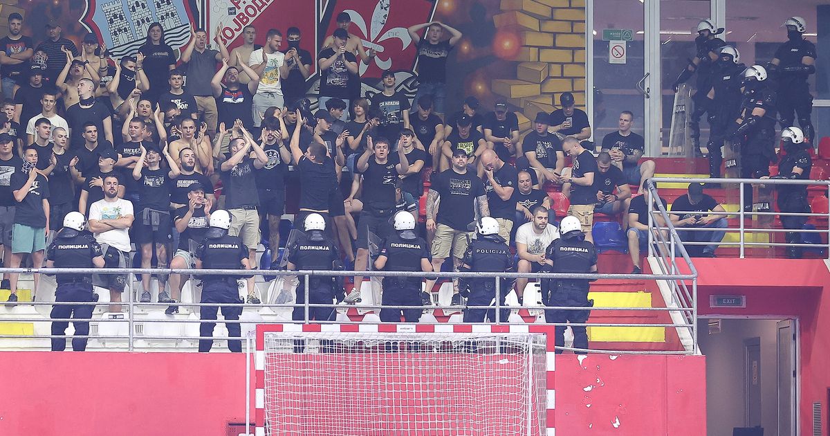 Partizan Crowned Serbian Handball Champs After Vojvodina Walkout Chaos