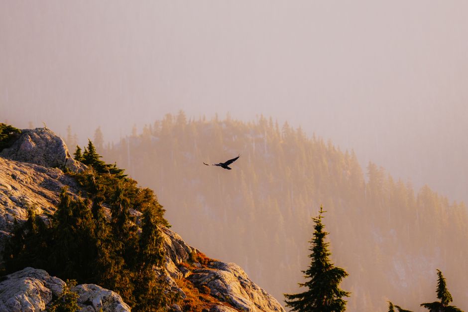 Velebit Mountain Croatia limestone cliffs golden eagle soaring sky