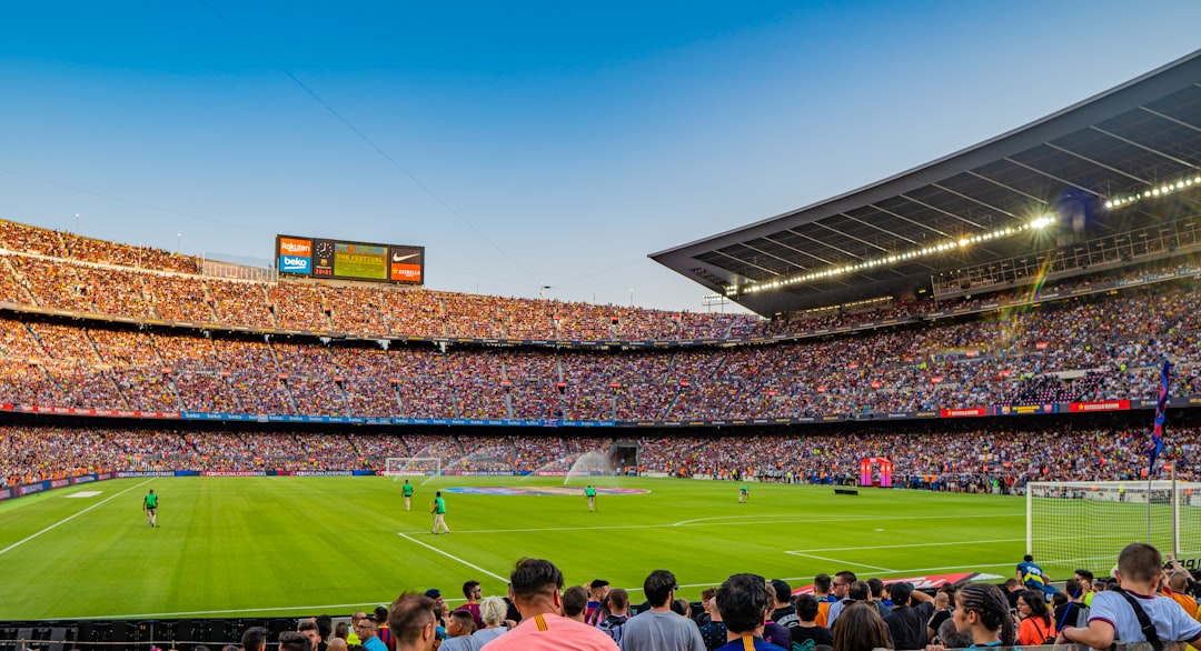 World Cup stadium crowd cheering national teams