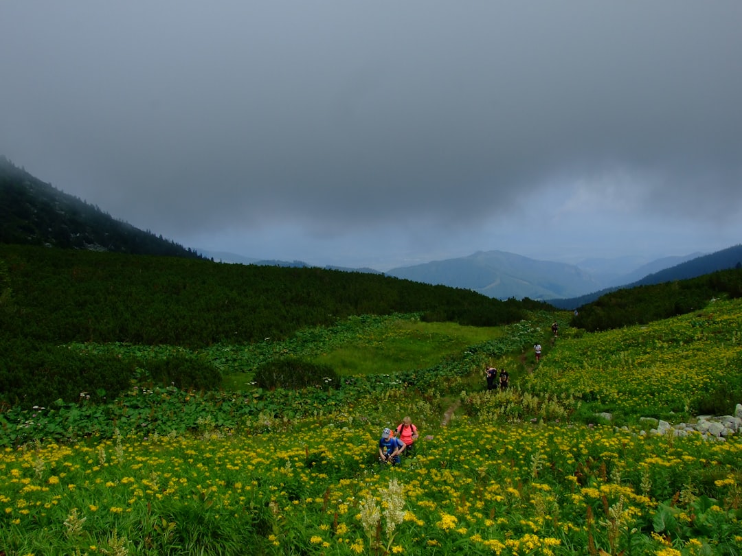 Hiker on rocky trail Retezat Mountains Romania granite peaks background