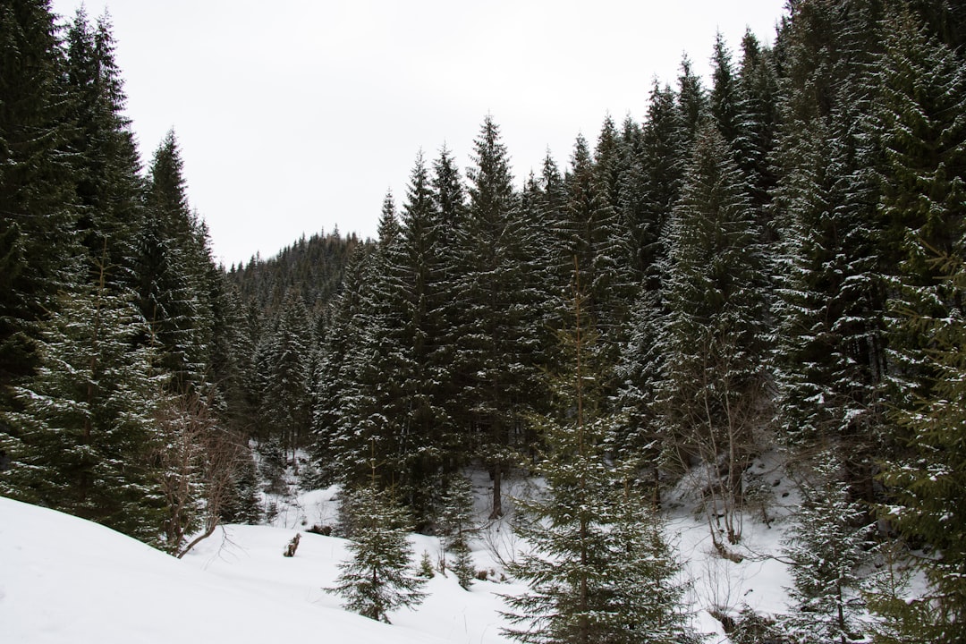 Predeal ski resort winter snow slopes Romania